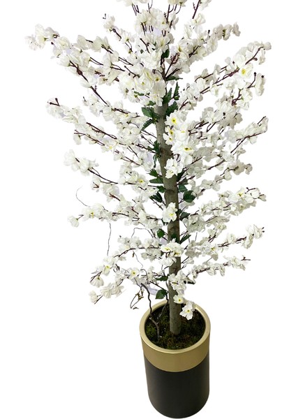 Beyaz Bahar Dalı 200 cm 40X30 Gold Kemerli Siyah Saksı fırsatları