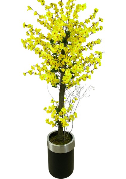 Sarı Bahar Dalı 180 cm Yapay Ağaç 30X25 Gümüş Kemerli Siyah Saksı