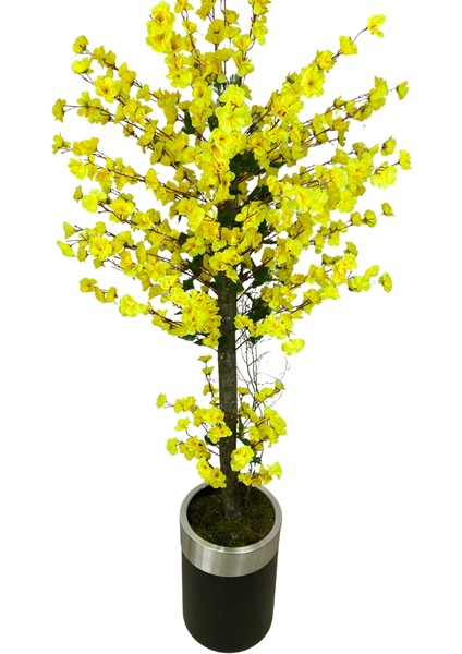Sarı Bahar Dalı 180 cm Yapay Ağaç 30X25 Gümüş Kemerli Siyah Saksı modelleri