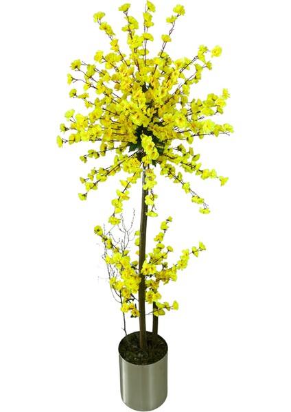 Atom Sarı Bahar Dalı 200 cm 30X30 Metal Saksı