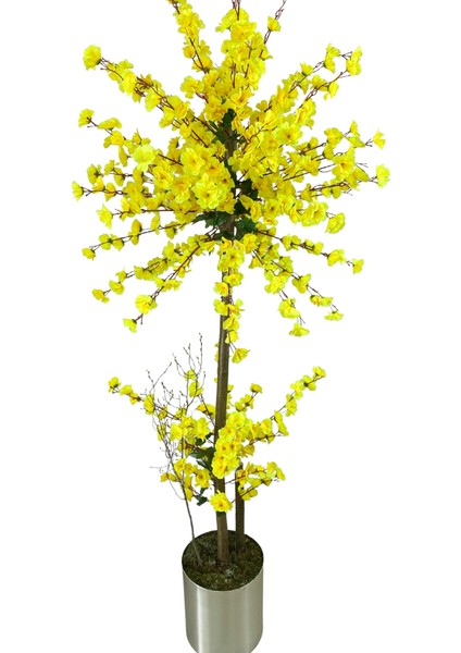 Atom Sarı Bahar Dalı 200 cm 30X30 Metal Saksı fırsatları