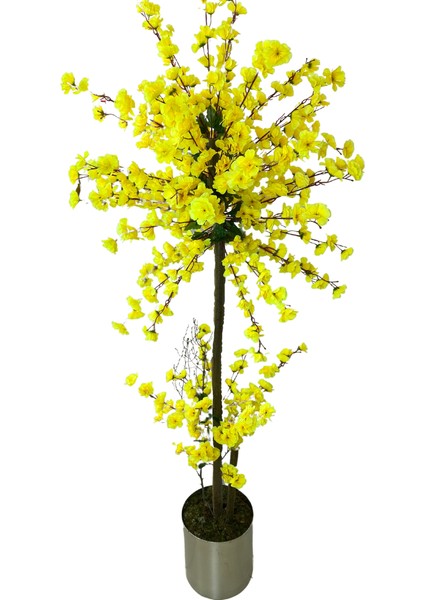 Atom Sarı Bahar Dalı 200 cm 30X30 Metal Saksı indirimleri