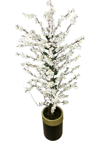 Beyaz Bahar Dalı 180 cm 30X25 Gold Kemerli Siyah Saksı fiyatları