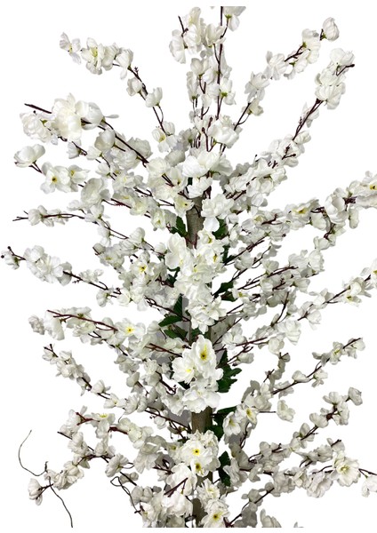 Beyaz Bahar Dalı 180 cm 30X25 Gold Kemerli Siyah Saksı indirimleri