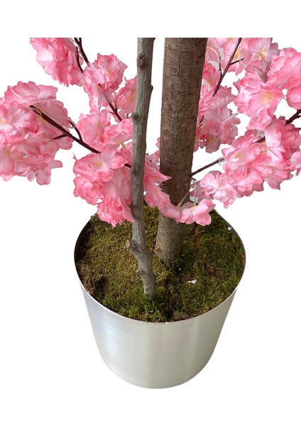 Kırık Pembe Bahar Dalı 180 cm 30X30 Metal Saksı fırsatları