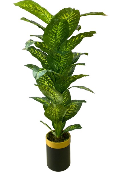 Difan Bahya 170 cm 30X25 Saksı