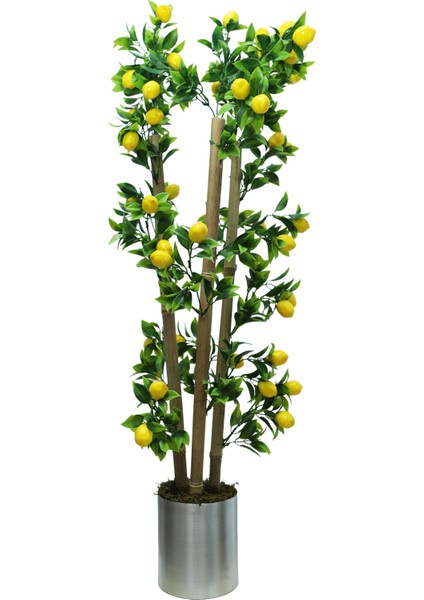 Limon Bambu Saksı 100CM 12X12 Metal Saksı