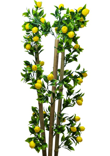 Limon Bambu Saksı 100CM 12X12 Metal Saksı fiyatları