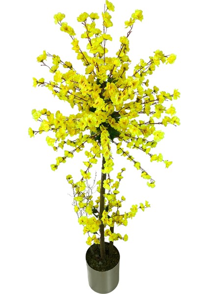 Atom Sarı Bahar Dalı 180 cm 25X25 Metal Saksı fiyatları
