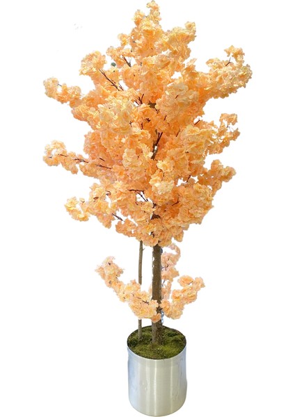 Somon Bahar Dalı 180 cm Yapay Ağaç 30X30 Metal Saksı modelleri