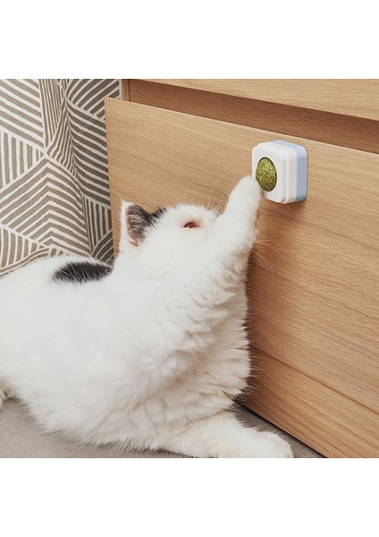 Catnipli Kedi Nanesi Topu Yapıştırmalı