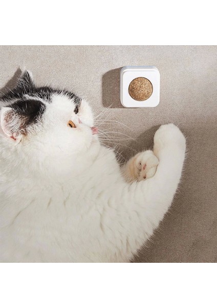 Catnipli Kedi Nanesi Topu Yapıştırmalı