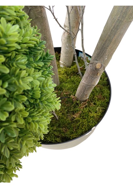 4'lü Çamdalı Şimşir Top 170 cm Yapay Ağaç 30X30 Metal Saksı indirimleri