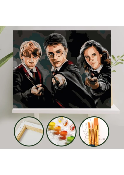 Palmiye Hobi Sanat Sayılarla Boyama Tuval Seti Fırça Boya Dahil (Çıtalı) 40X50 cm - Harry Potter