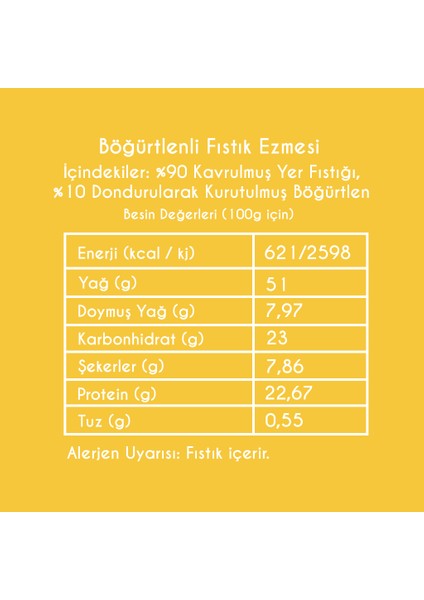 Böğürtlenli Fıstık Ezmesi 225 gr fiyatları