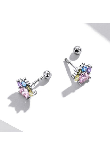 Renk Zirkon Sevimli Pençe Kulak Damızlık (Yurt Dışından) fiyatları
