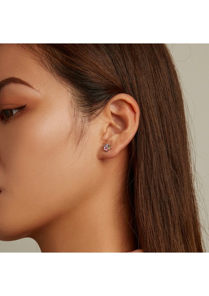 Renk Zirkon Sevimli Pençe Kulak Damızlık (Yurt Dışından) indirimleri