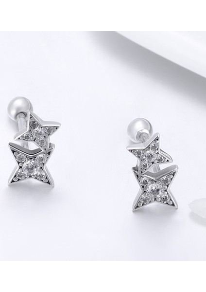 Gümüş Parlak Yıldız Mas Küpe (Yurt Dışından) fiyatları