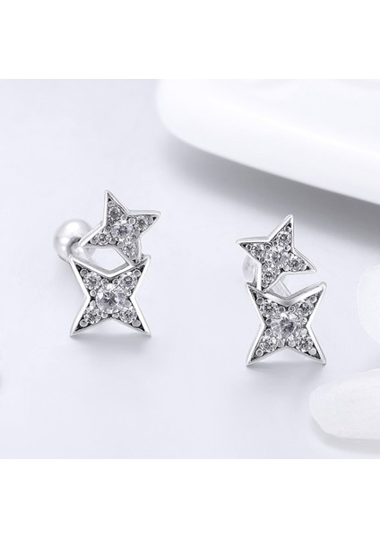 Gümüş Parlak Yıldız Mas Küpe (Yurt Dışından) modelleri