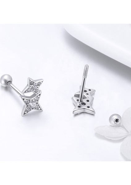 Gümüş Parlak Yıldız Mas Küpe (Yurt Dışından) fırsatları