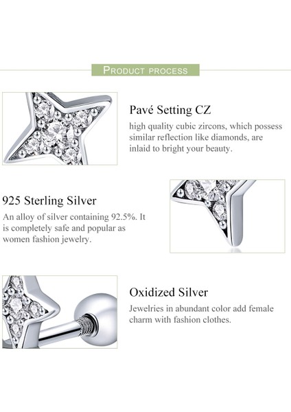 Gümüş Parlak Yıldız Mas Küpe (Yurt Dışından) indirimleri