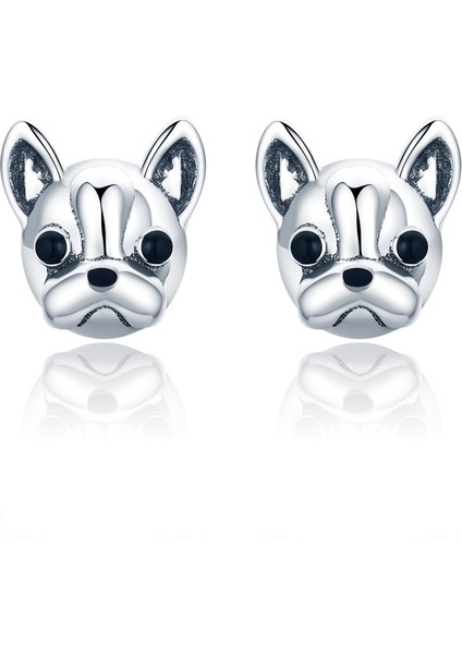 Bulldog Düz Gümüş Küpe (Yurt Dışından)