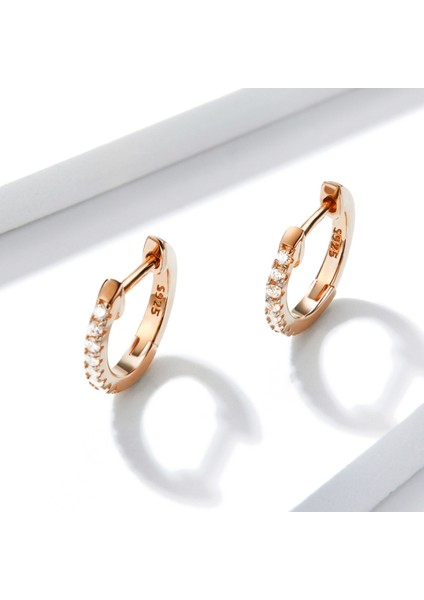 Gümüş Daire Küpe, Renk: Gül Altın (Yurt Dışından) fiyatları