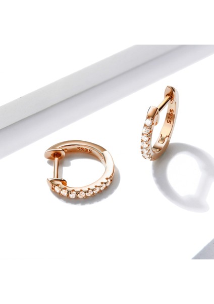 Gümüş Daire Küpe, Renk: Gül Altın (Yurt Dışından) modelleri