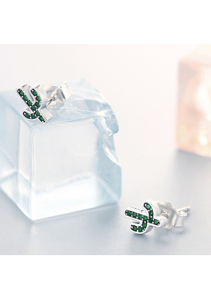 Kaktüs Gümüş Küpe (Yurt Dışından) fiyatları