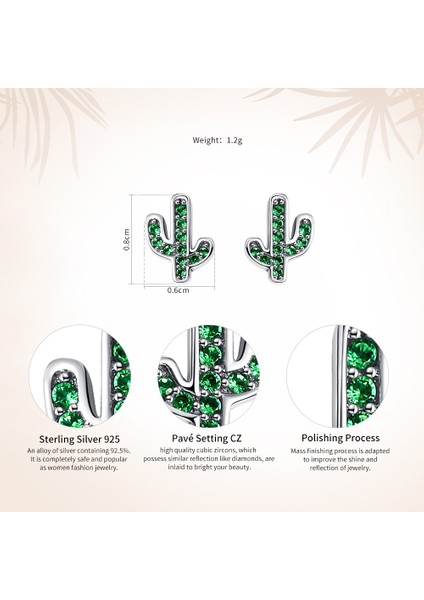 Kaktüs Gümüş Küpe (Yurt Dışından) fırsatları