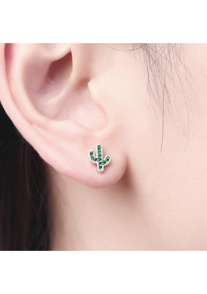 Kaktüs Gümüş Küpe (Yurt Dışından) indirimleri