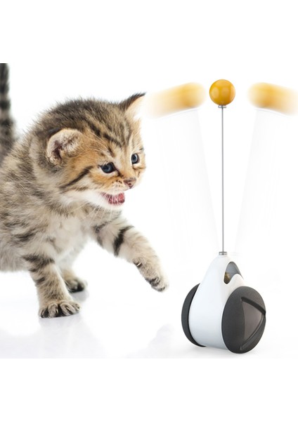 Interaktif Kedi Top Oyuncakları Tüyler Tumbler Cat Hareketli Oyuncaklar Komik Egzersiz Yavru Teaser Toys Iç Mekan Kedileri Için (Yurt Dışından) fırsatları