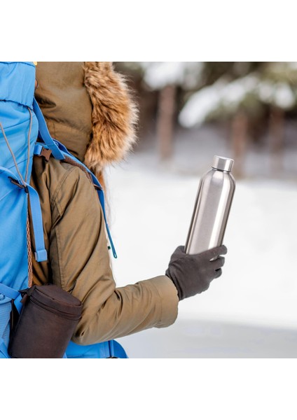 Yalıtımlı Su Şişesi Metal Vakumu Sırt Çantasıyla Tırmanma Açık Argent 500ML (Yurt Dışından)