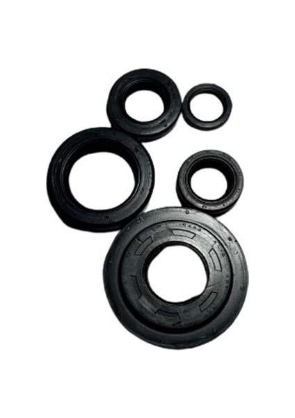 Honda Activa Beat 100 Krank Karter Şanzıman Debriyaj Keçesi Seti 5'li Hint Dp2