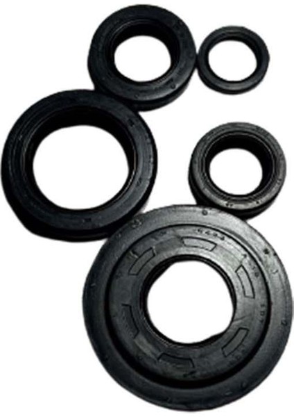 Honda Activa Beat 100 Krank Karter Şanzıman Debriyaj Keçesi Seti 5'li Hint Dp2 fiyatları