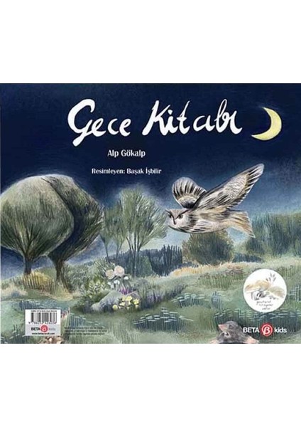 Gündüz Kitabı- Gece Kitabı - Alp Gökalp fırsatları