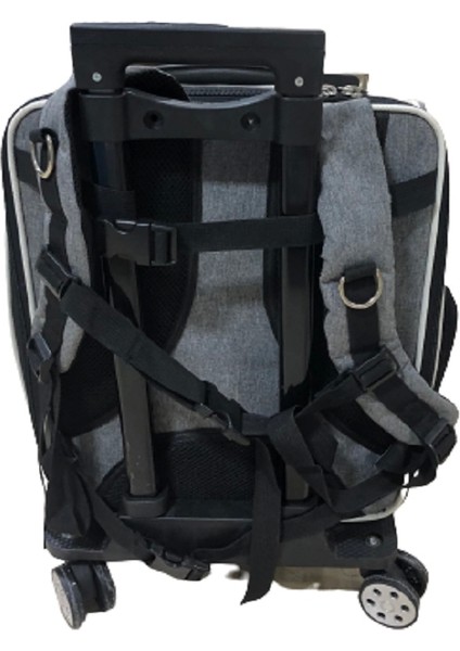 Kedi Köpek Şeffaf Çekçekli Valiz Gri fırsatları