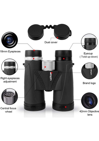1 Adet Kuş Gözlemciliği İçin Kompakt Güçlü Dürbün Avcılık Doğa Sporları Siyah 12 X 42 (Yurt Dışından) modelleri