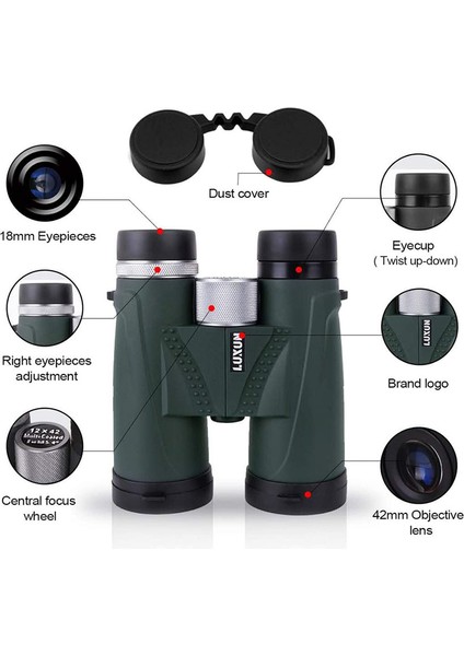 1 Adet Kuş Gözlemciliği İçin Kompakt Güçlü Dürbün Avcılık Doğa Sporları Yeşil 12 X 42 (Yurt Dışından) modelleri