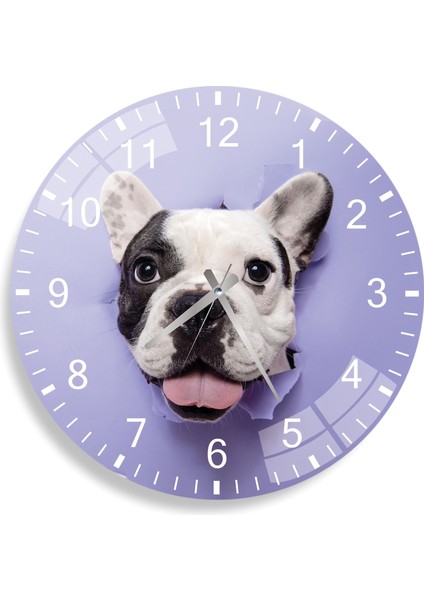 Sevimli Pitbull Cam Saat - 40 cm