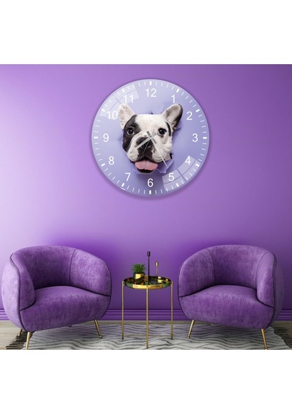 Sevimli Pitbull Cam Saat - 40 cm fiyatları