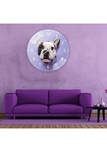 Sevimli Pitbull Cam Saat - 40 cm modelleri