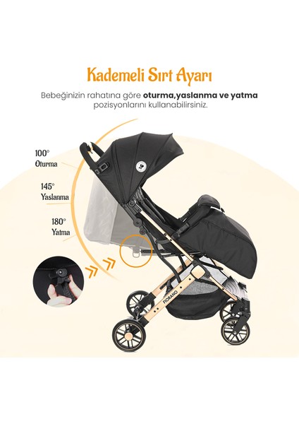 Fiorano Kabin Boy Bebek Arabası - Dolphin Grey