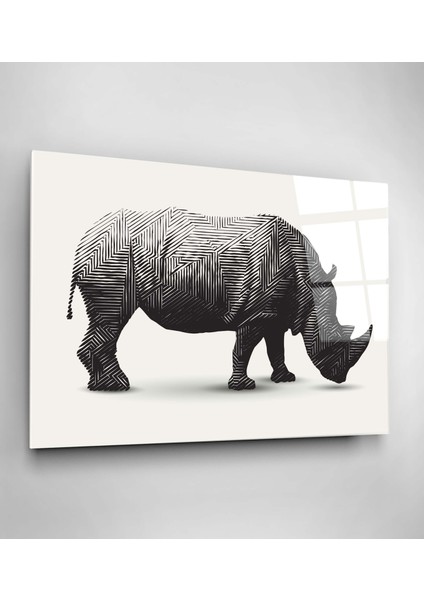 Çizgili Gergedan Cam Tablo, Dekoratif Cam Tablo fiyatları