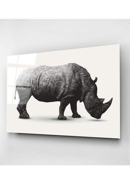 Çizgili Gergedan Cam Tablo, Dekoratif Cam Tablo fırsatları