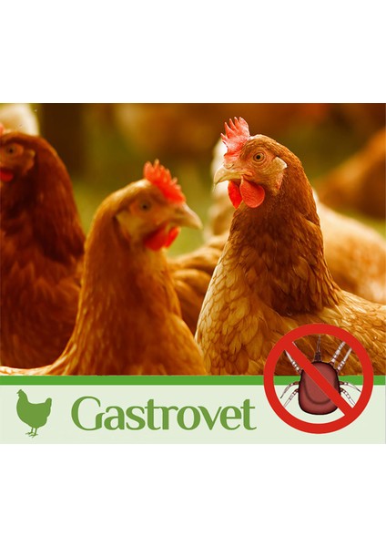 Kleandust Bit Kırmızı Akar Pire Tozu Kanatlı (Tavuk, Güvercin, Vb.) Toz Banyosu 4 KG fiyatları