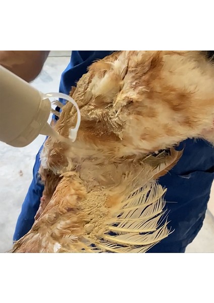 Diamyte Tavuk Kırmızı Akar ve Pire Tozu 400 G indirimleri