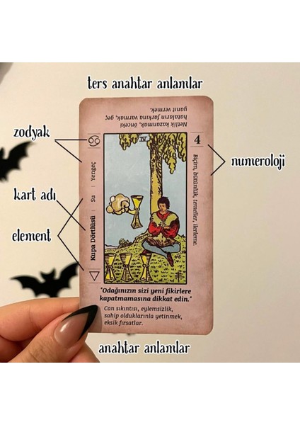 Regin Başlangıç Tarot Destesi