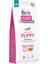 Skin Coat Tahılısz Somonlu Yavru Köpek Maması 12 kg 2