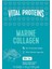 Vital Proteins Marine Collagen 10 Saşe x 10 gr Nötr Tat 2